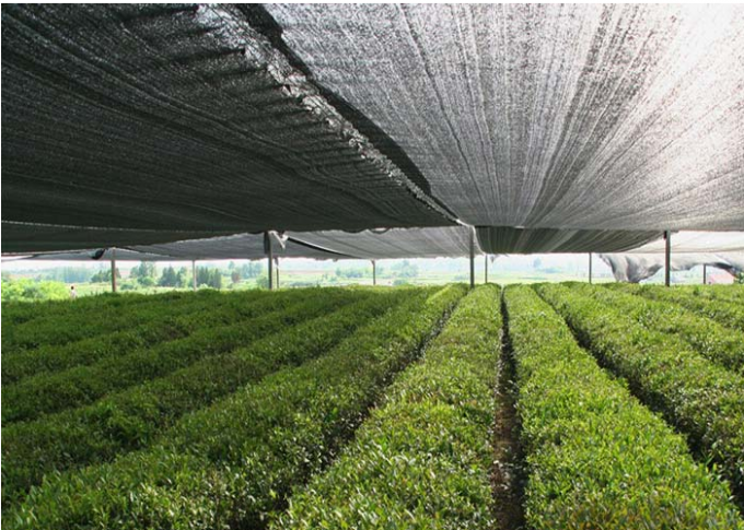 Landwirtschaftliche Landwirtschaftsdach-Sonnenblende-Netz-Griff-starke Winde verfügbare 1m - 6m Breite