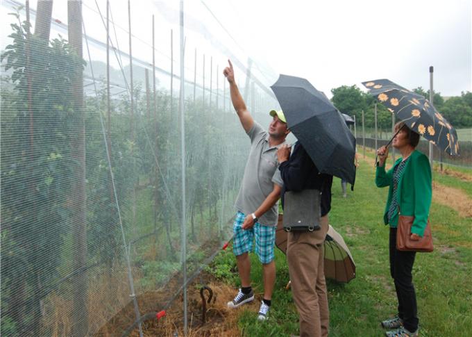 Wetterfestes Schutz-Grün-Antihagel-Netz für die Verringerung des Wärmeverlust in den Gewächshäusern