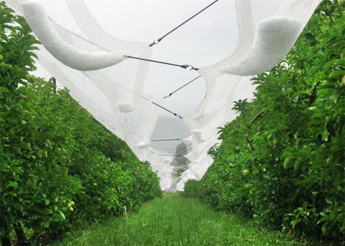 Pflanzenbau-stabilisiertes Antihagel-UVnetz benutzt im Obstgarten-Garten und dem Wald