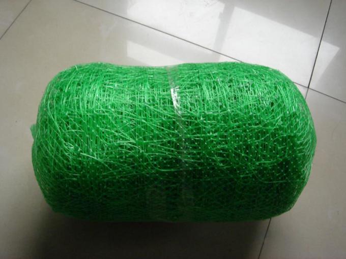 2m*10m Kletterpflanze-Stütznetz für Erbse/Bean verpackte in der Plastiktasche