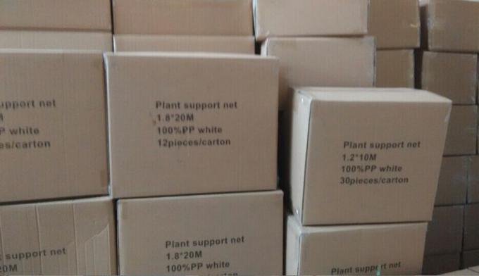 1.2m x 1.2m Pflanzenschutz-Filetarbeit, UV-BEHANDELTe Gartenpflanze-Filetarbeit