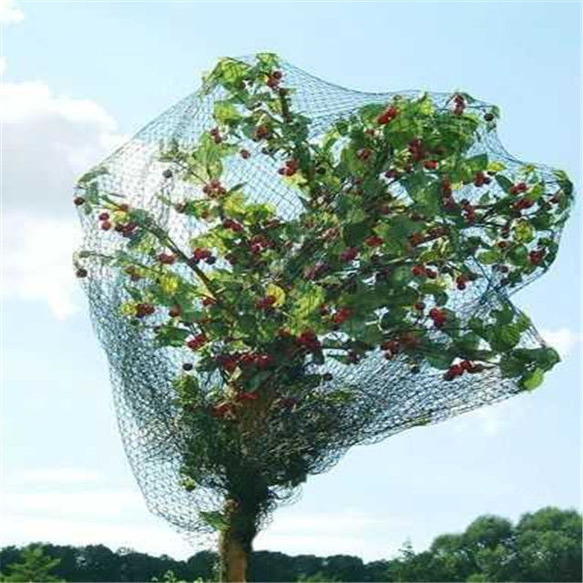 Polyäthylen-mit hoher Dichte Vogel-Filetarbeit für Anlagen/Obstbaum-Verpackung strickte Art