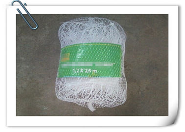 China Plastikkletterpflanze-Stütznetz-Grün-weißes Gurken-Stütznetz usine