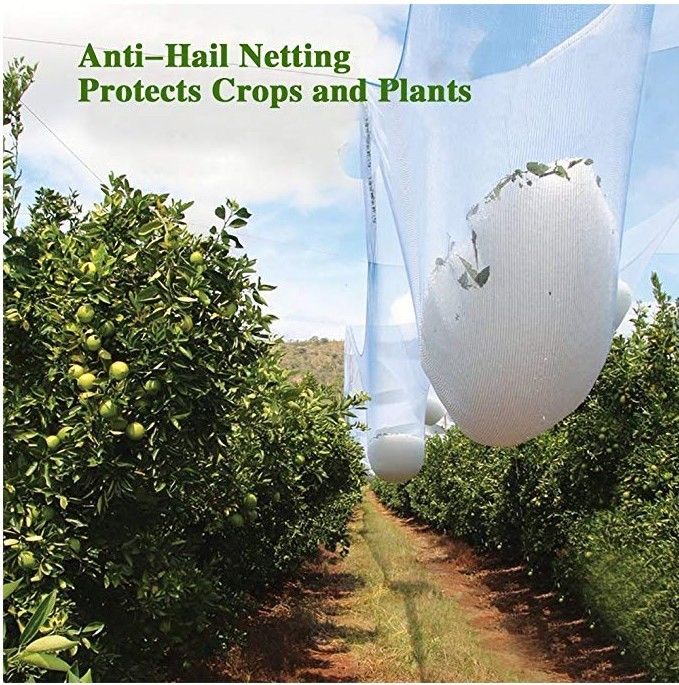 Landwirtschaftliches HDPE weißes Antihagel-Netz, stabilisierte Obstbaum-UVfiletarbeit